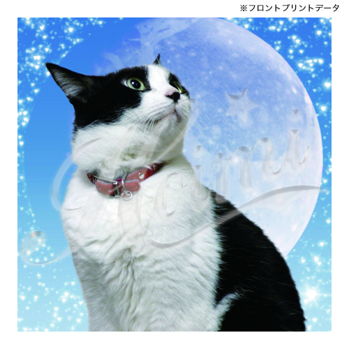 商品詳細写真