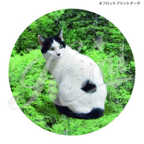商品詳細写真