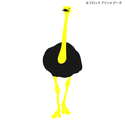 商品詳細写真