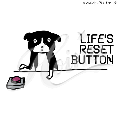 商品詳細写真