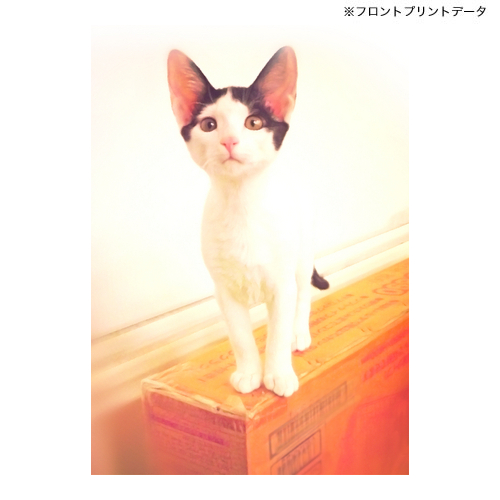 商品詳細写真