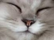 くぱ